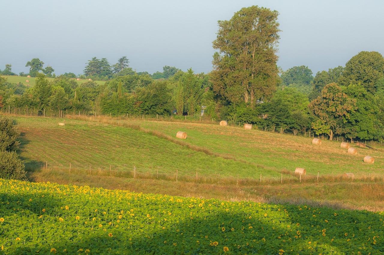 Les Maisons du Golf d'Armagnac Eauze Extérieur photo